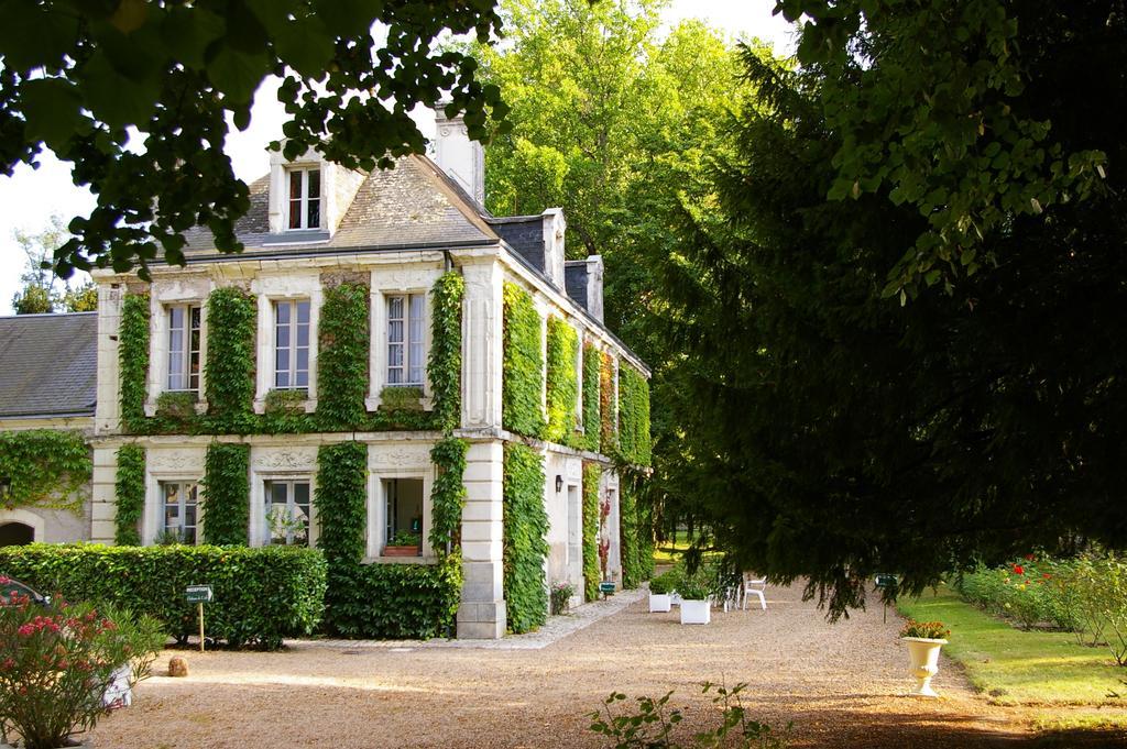 Hostellerie Du Chateau De L'Isle La Croix-en-Touraine Habitación foto